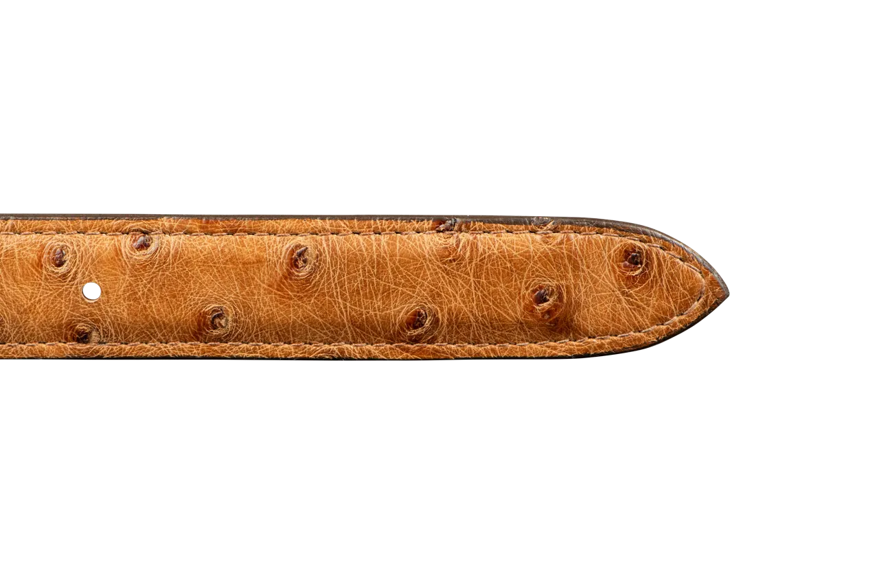 Chacon 1.25" Full-Quill Ostrich Tapered Belt Strap