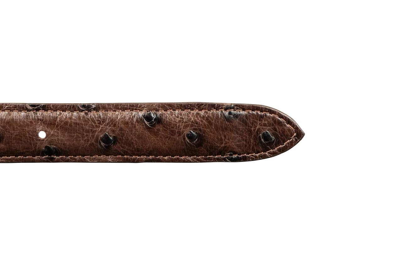 Chacon 1.25" Full-Quill Ostrich Tapered Belt Strap