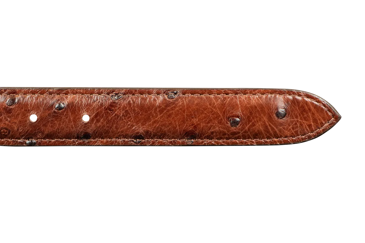 Chacon 1.25" Full-Quill Ostrich Tapered Belt Strap