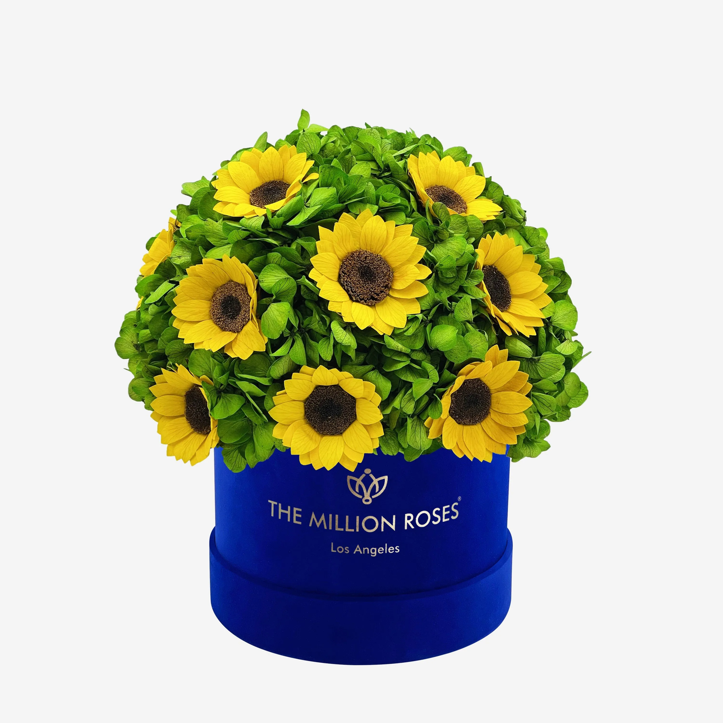 Classic Royal Blue Suede Box | Green Hydrangeas & Sunflowers